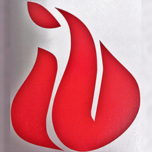 Flame Logo right side up square220